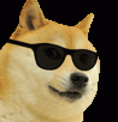 dog-love-cool-doge